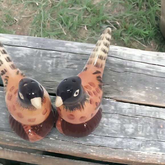 Pheasant Salt & Pepper Shakers - Ceramic - Hand Painted - Picture 2 of 7